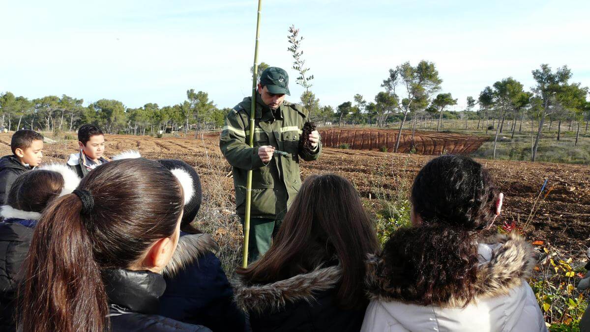 Explication plantation aux enfants 