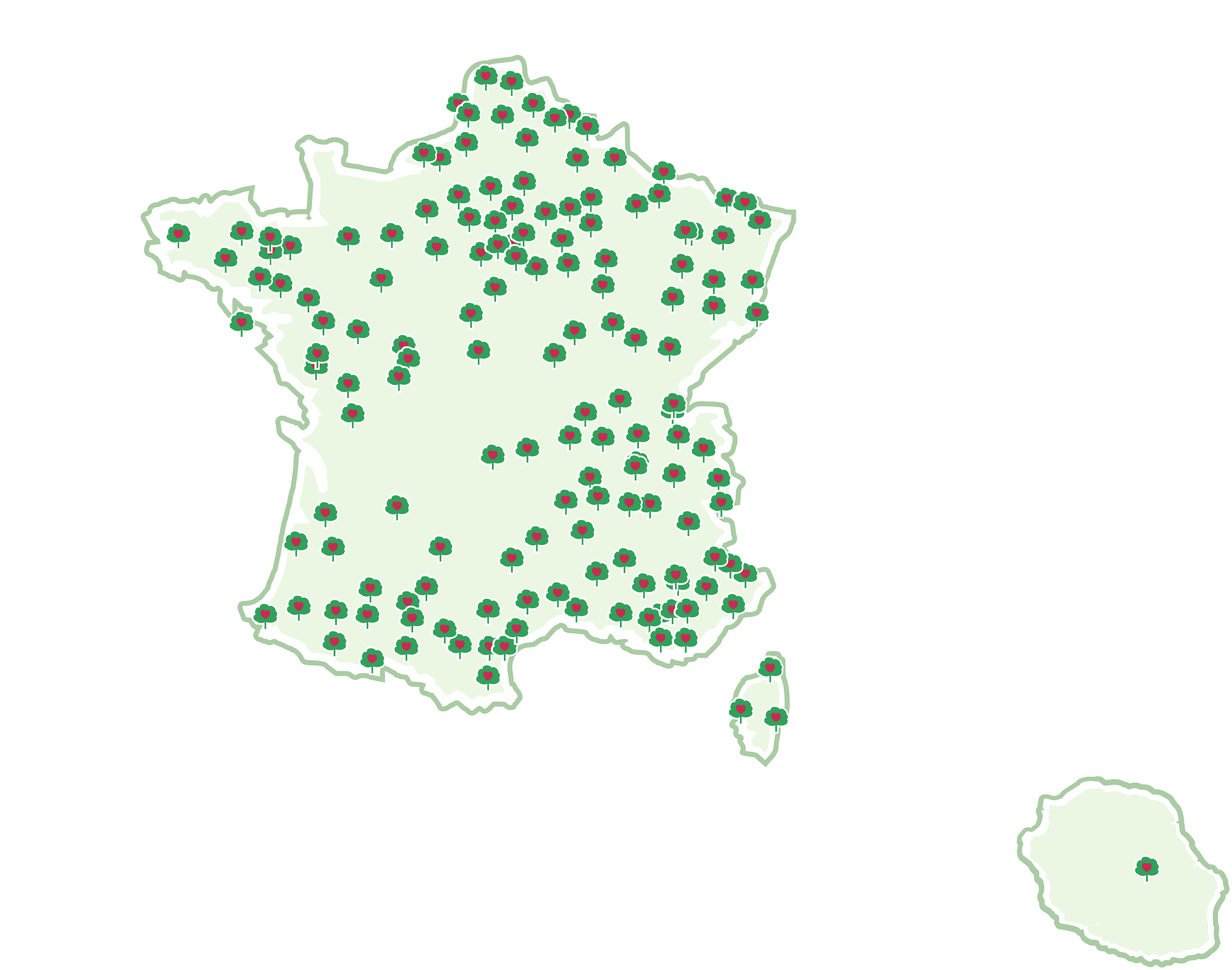forest-map