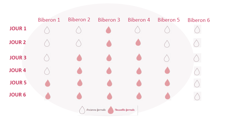 programme de transition proposé