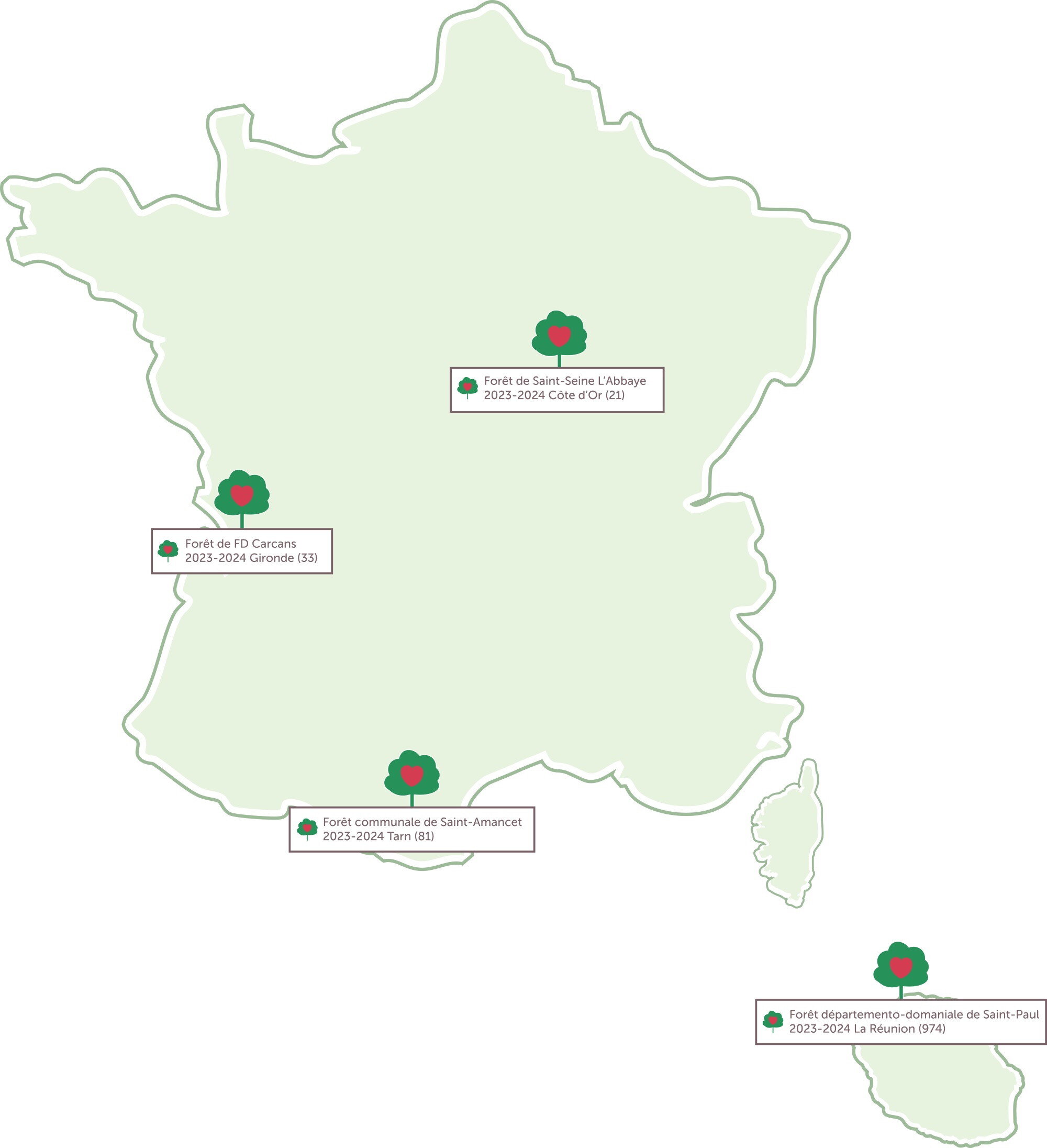 forêt de l'année 2023-2024