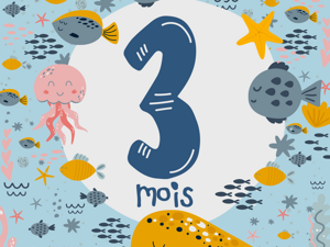 3 mois