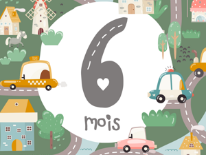 6 mois