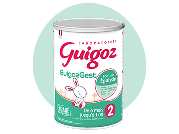 guigoz-gest-2a-2023