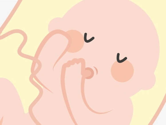 illustration embryon qui suce son pouce