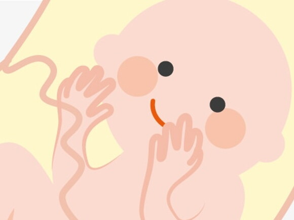 illustration du visage de bebe dans le ventre de maman