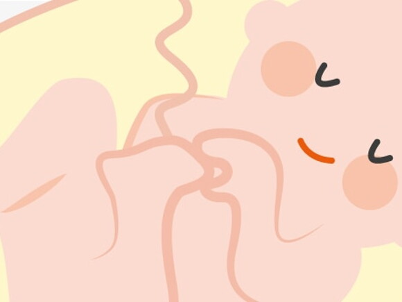 illustration mains et pieds du bebe dans le ventre de maman