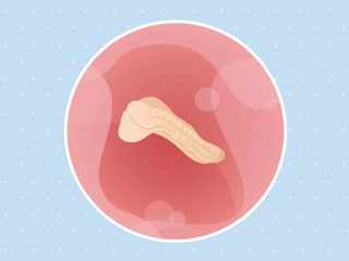 3ème semaine de grossesse Embryon 3ème semaine de grossesse 5 sa