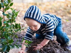 1 bébé 1 arbre 