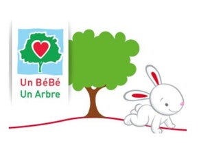 Lapinou
