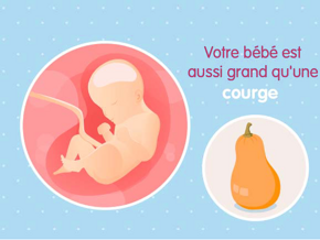 Fœtus 29ème semaine de grossesse 31 sa