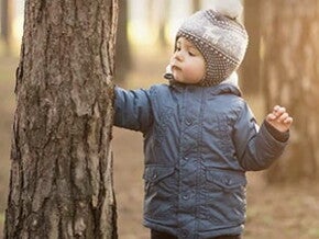 Engager des actions en faveur de la biodiversité et la régénération des sols