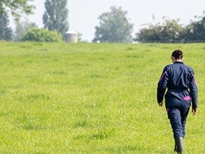 Participer à l’amélioration des conditions de vie des éleveurs et à l’avenir de la filière via l’agripreunariat