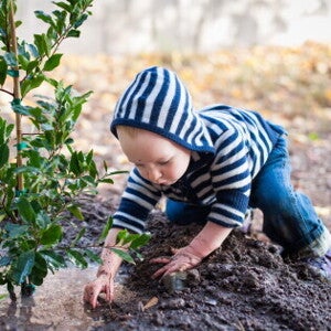 1 bébé 1 abre 1 bébé 1 arbre
