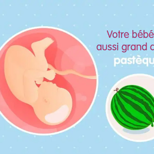 39ème semaine de grossesse (41 SA) 