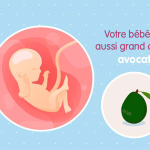 Fœtus 16ème semaine de grossesse 18 sa