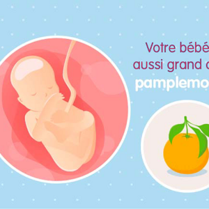 Fœtus 19ème semaine de grossesse 21 sa