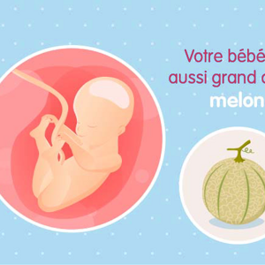 Fœtus 25ème semaine de grossesse 27 sa