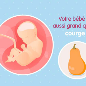 Fœtus 29ème semaine de grossesse 31 sa