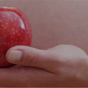 Guide d'alimentation pendant la grossesse