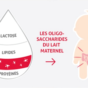 visuel-definition-oligosaccharides