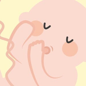 illustration embryon qui suce son pouce illustration embryon qui suce son pouce