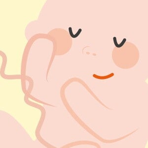 illustration embryon pour l'odorat de bébé