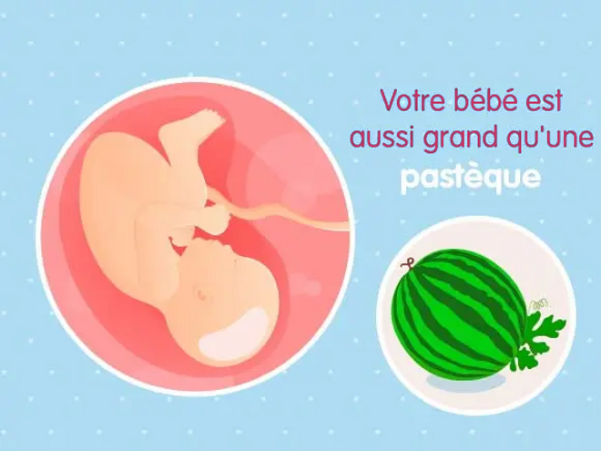 39ème semaine de grossesse (41 SA) 39ème semaine de grossesse (41 SA)