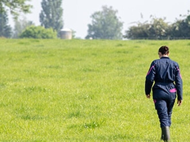 Participer à l’amélioration des conditions de vie des éleveurs et à l’avenir de la filière via l’agripreunariat