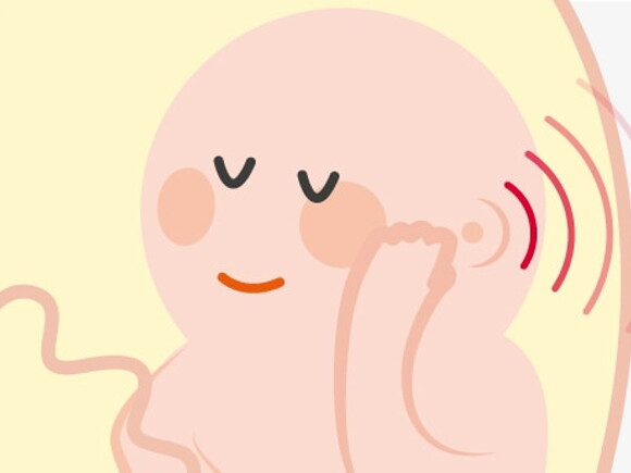 Illustration embryon dans le ventre de maman pour l'ouie de bébé