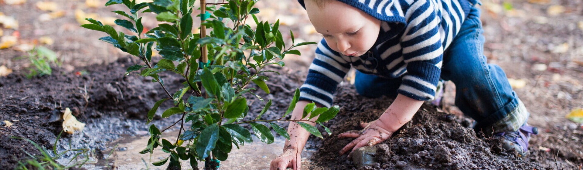 1 baby 1 tree Baby planting a tree