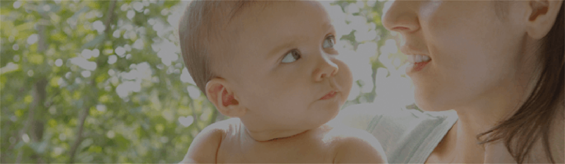 Un bébé un arbre Un bébé un arbre