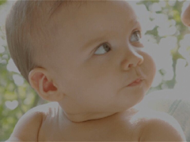 Un Bébé, Un Arbre Un Bébé, Un Arbre