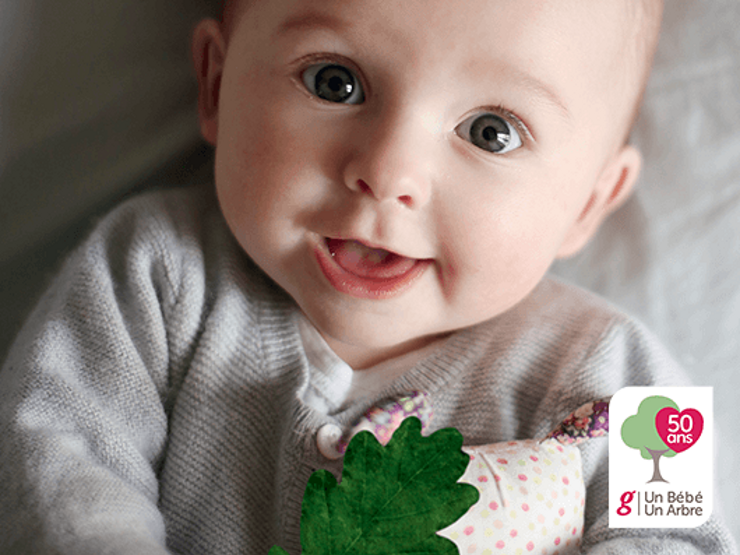 bebe feuille de chene bebe feuille de chene