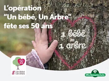 1baby,1tree 1baby,1tree