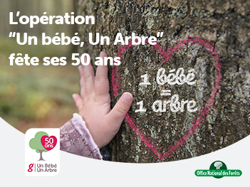 1baby,1tree 1baby,1tree
