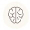 brain brain
