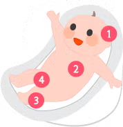 Le bain de bébé Le bain de bébé