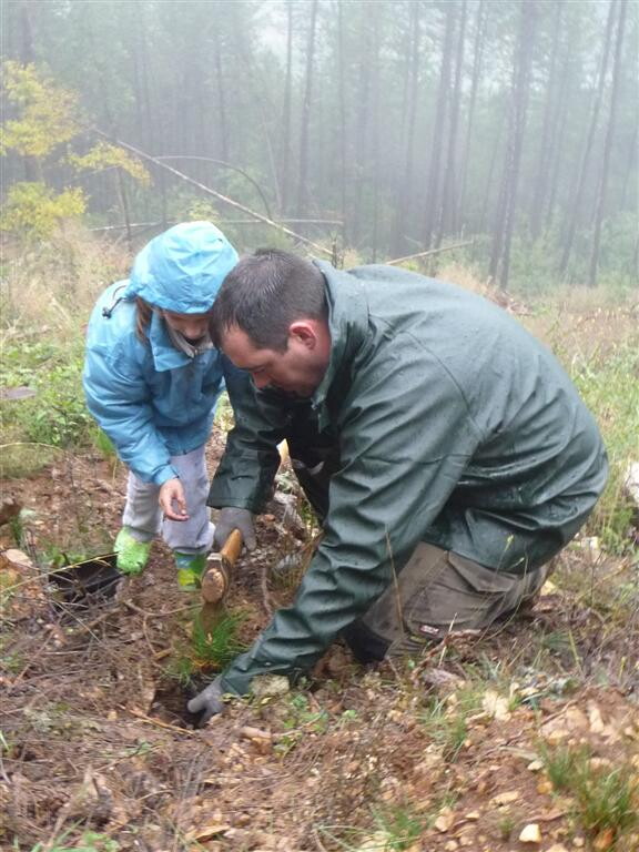plantation plantation