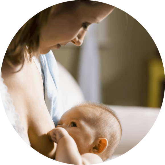 complément alimentaire à base de fenugrec, un ingrédient d’origine naturelle, pour soutenir la lactation. complément alimentaire à base de fenugrec, un ingrédient d’origine naturelle, pour soutenir la lactation.