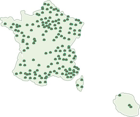 Forêts 1BB1A Forêts 1BB1A