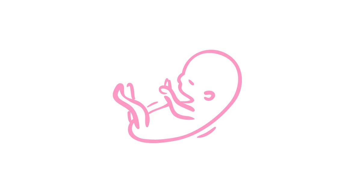 Ma eme Semaine De Grossesse 22 Sa Guigoz